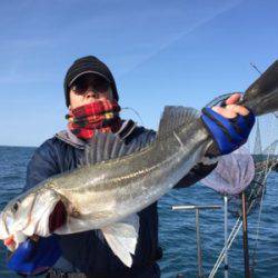 シーモンキー 釣果