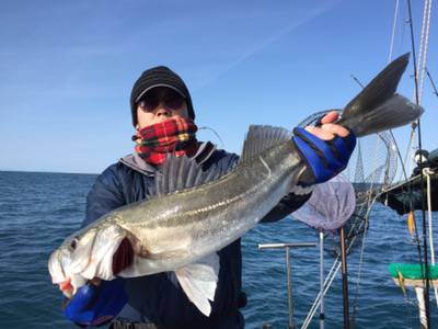 シーモンキー 釣果