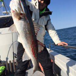 シーモンキー 釣果