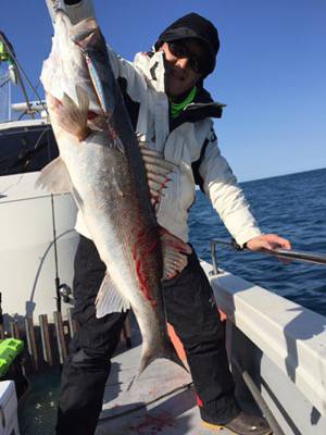 シーモンキー 釣果