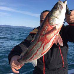 シーモンキー 釣果