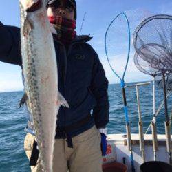 シーモンキー 釣果