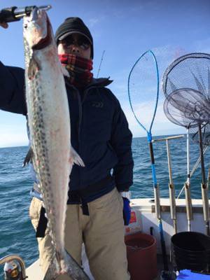 シーモンキー 釣果