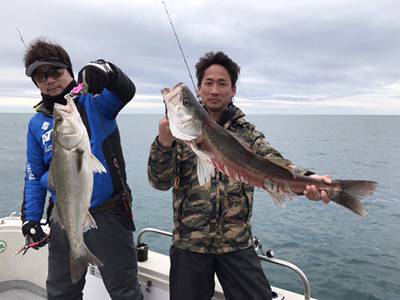 シーモンキー 釣果