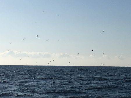 松鶴丸 釣果