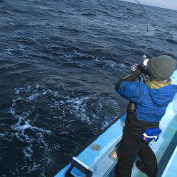 松鶴丸 釣果