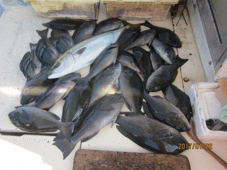 第十八吉栄丸 釣果