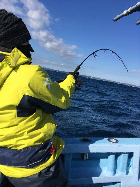 松鶴丸 釣果