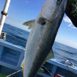 松鶴丸 釣果