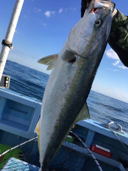 松鶴丸 釣果