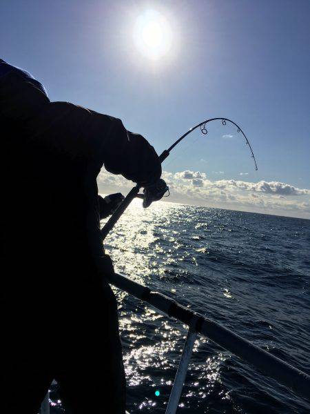 松鶴丸 釣果