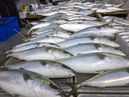 幸風（さちかぜ） 釣果