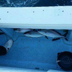 第五慶門丸 釣果