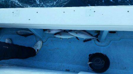 第五慶門丸 釣果