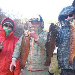 高萩ふれあいの里フィッシングエリア 釣果