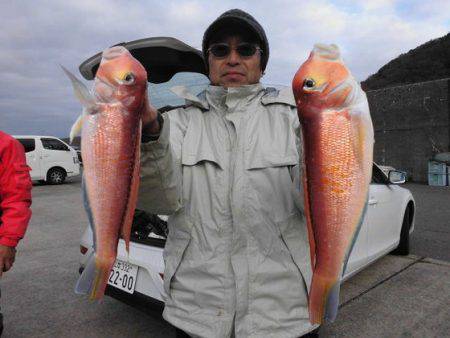 大進丸（新潟） 釣果