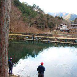 小菅トラウトガーデン 釣果