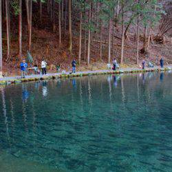 小菅トラウトガーデン 釣果