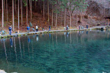 小菅トラウトガーデン 釣果