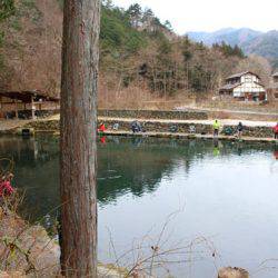 小菅トラウトガーデン 釣果