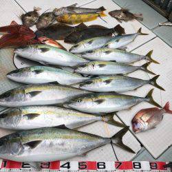 ふじしめ丸 釣果