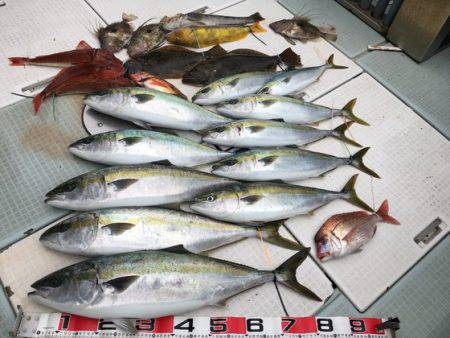 ふじしめ丸 釣果
