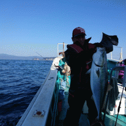 清和丸 釣果