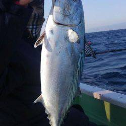 遊漁船 新鋭丸 釣果