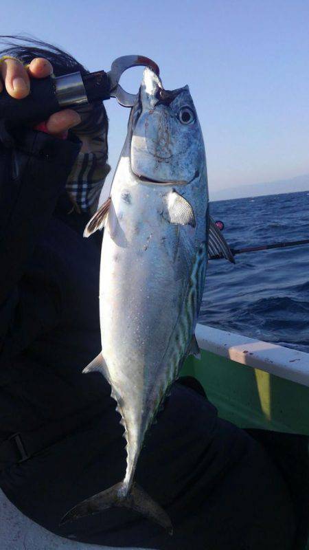 遊漁船 新鋭丸 釣果