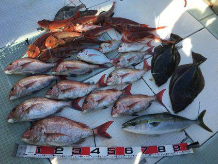 ふじしめ丸 釣果