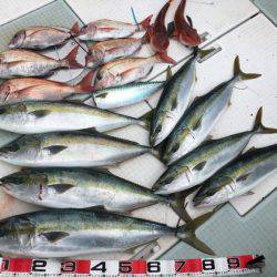 ふじしめ丸 釣果