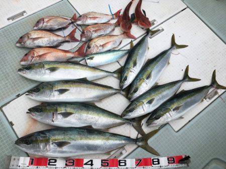 ふじしめ丸 釣果