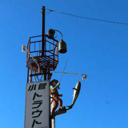 小菅トラウトガーデン 釣果