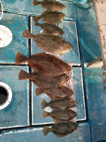 フィッシングガイド りょう 釣果