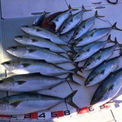 ふじしめ丸 釣果