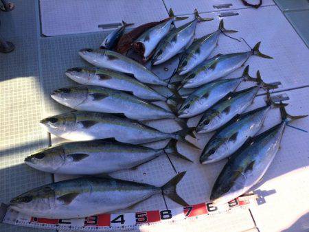 ふじしめ丸 釣果