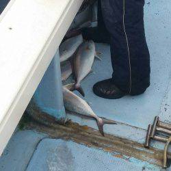 第五慶門丸 釣果