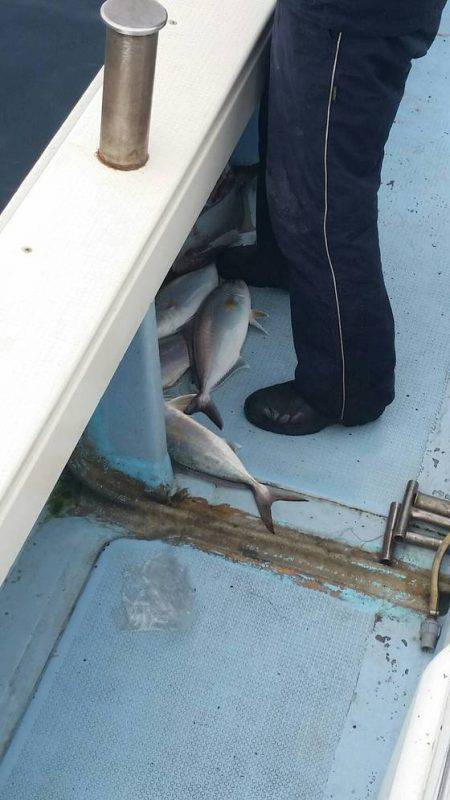 第五慶門丸 釣果