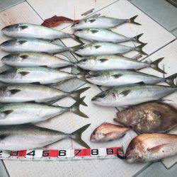 ふじしめ丸 釣果