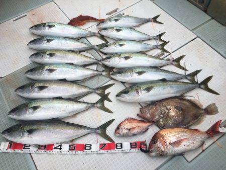 ふじしめ丸 釣果