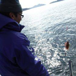 遊漁船 幸友丸 釣果