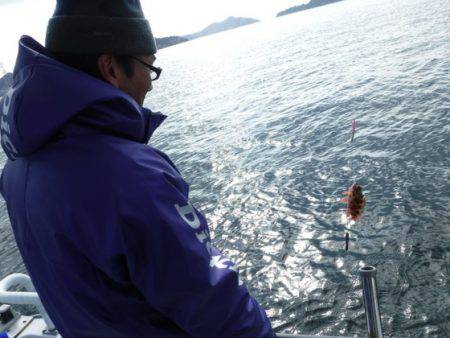 遊漁船 幸友丸 釣果