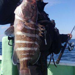 遊漁船 新鋭丸 釣果