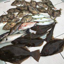ふじしめ丸 釣果
