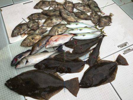 ふじしめ丸 釣果