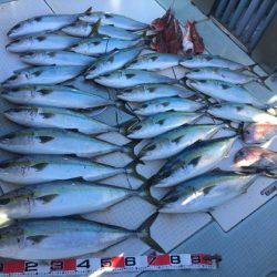 ふじしめ丸 釣果