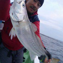 遊漁船 新鋭丸 釣果