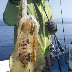 海晴丸 釣果
