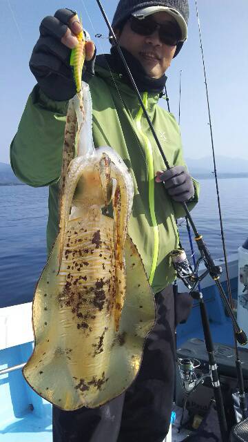 海晴丸 釣果