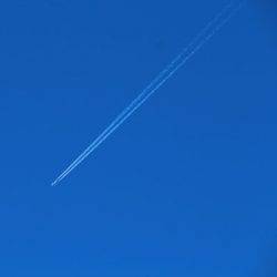 小菅トラウトガーデン 釣果